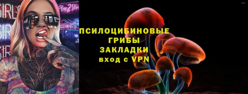 наркошоп  Уфа  Псилоцибиновые грибы Magic Shrooms 